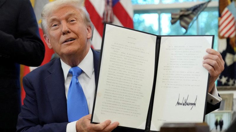Trump impose des frais annuels de 100 000 dollars sur certains visas de travail, réforme des visas H-1B