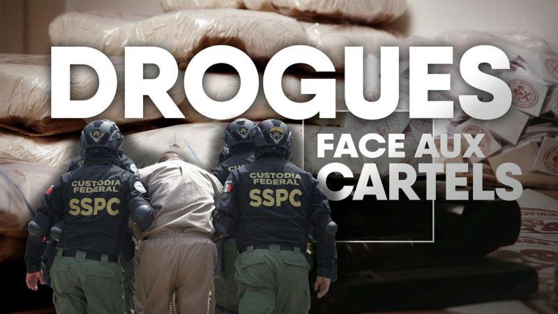 Cartels d Amérique latine : l Europe devient une cible du trafic de cocaïne et de fentanyl