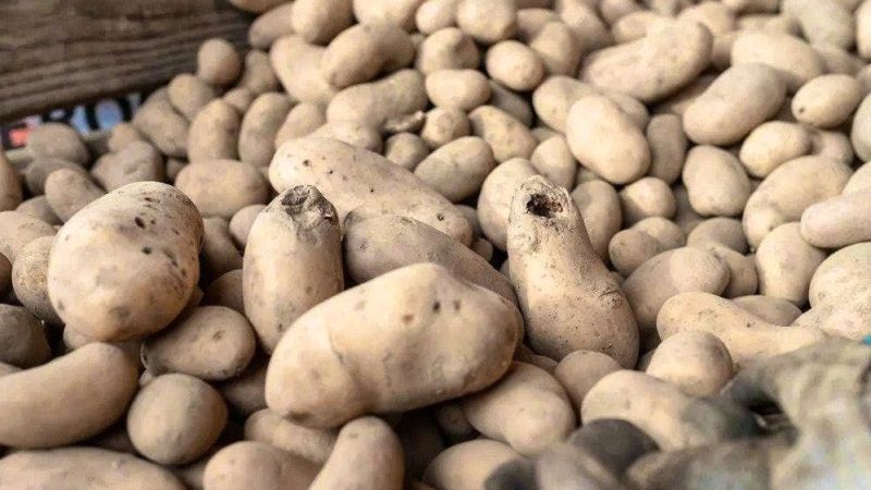 Richemont : un ex-responsable achats accusé d’escroquerie pour 5,8 millions au sein du groupe de luxe