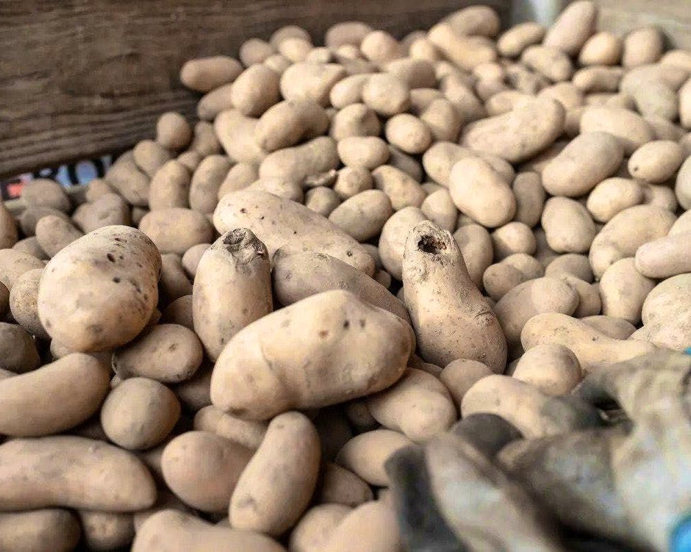 Richemont : un ex-responsable achats accusé d’escroquerie pour 5,8 millions au sein du groupe de luxe