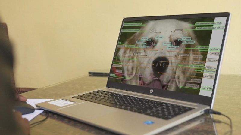 Le travail invisible des données qui alimente l’IA générative : réalités et enjeux