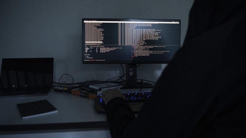 Excédent de pommes de terre en Suisse : des surplus destinés aux animaux et à un fonds de solidarité